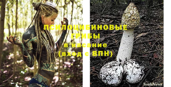 МДПВ Медвежьегорск